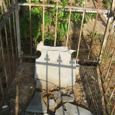 DAVIN Herman Martin Georg 1892-?