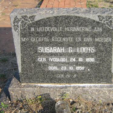LOOTS Susarah C. nee VOSLOO 1890-1958