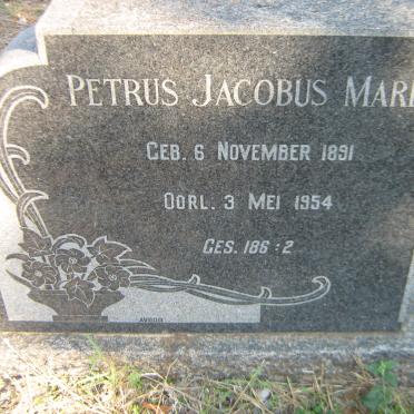 MAREE Petrus Jacobus 1891-1954