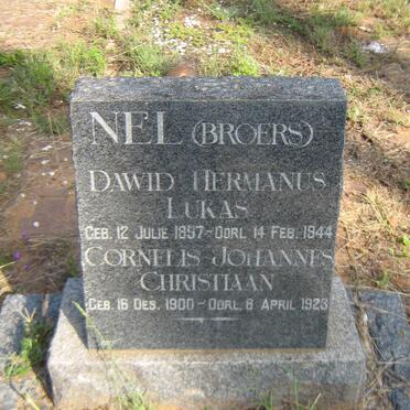 N - Vanne :: Surnames - N