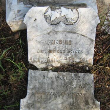 PRINSLOO Amarensia C.P. -1932