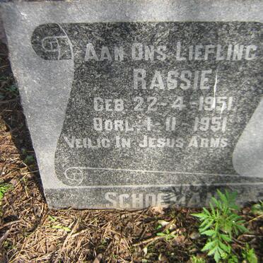 SCHOEMAN Rassie 1951-1951