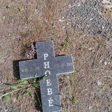 BRUWER Cornelis Adrian 1912-19?? &amp; Phoebe 1918-2005