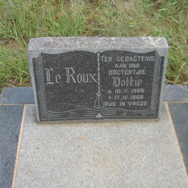 ROUX Dottie, le 1965-1966