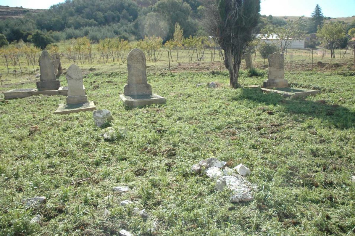 2. Overview / Oorsig