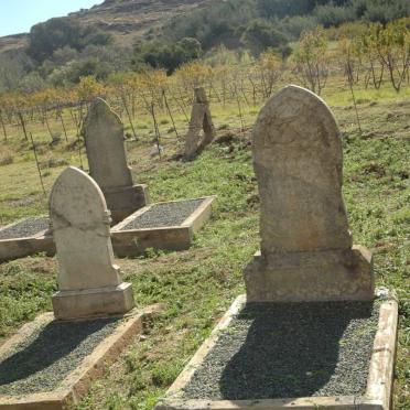 1.  Overview / Oorsig