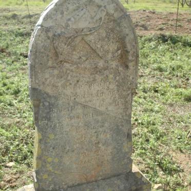 SWANEPOEL Sara Maria Petronella nee VAN JAARSVELD 186?-1905