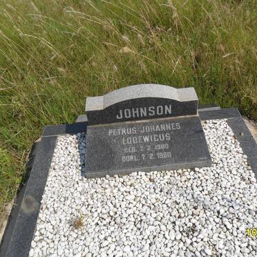 JOHNSON Petrus Johannes Lodewicus 1980-1980