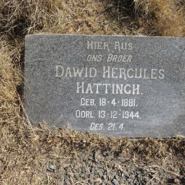 HATTINGH Dawid Hercules 1881-1944