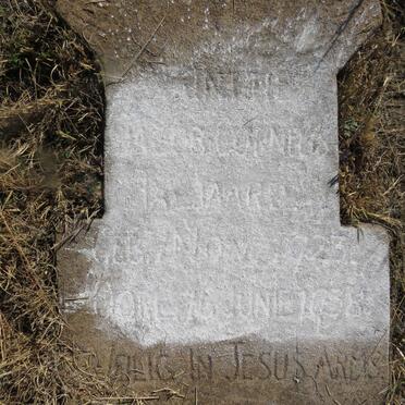 TALJAARD ? 1923-1938