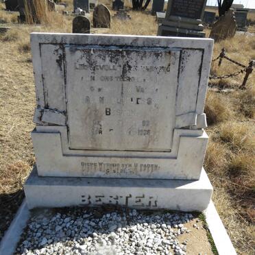 BESTER Barend du Plessis 1889-1938
