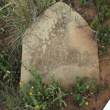 VOSTER Paul P.J. 1824-1909