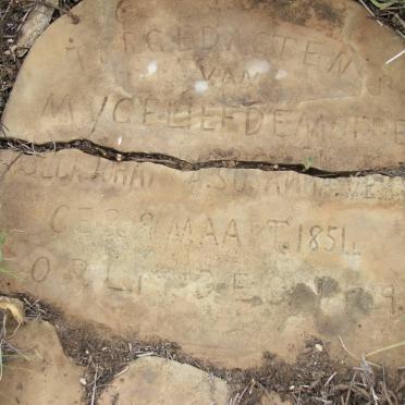 ? Isabella Johanna Susanna 1854-?