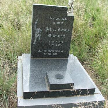 BADENHORST Petrus Jacobus 1868-1953