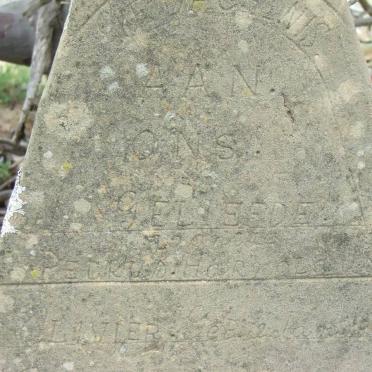 Free State, DEWETSDORP district, Unknown farm cemetery 22