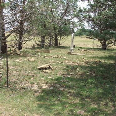 1. Oorsig / Overview