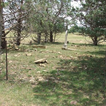 1. Oorsig / Overview