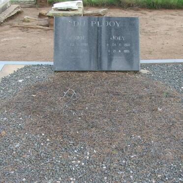 PLOOY ?, du 1908-1974 &amp; Joey 1908-1985