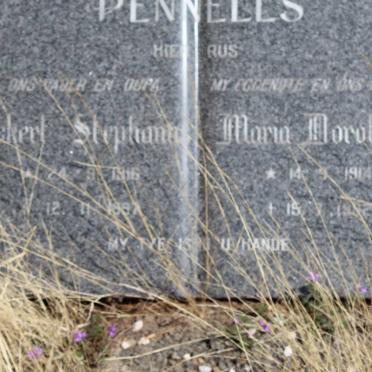 PENNELS Ockert Stephanus 1916-1987 &amp; Maria Dorothea 1914-19?2