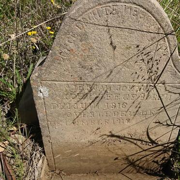 COETZEE ? Johannes 1915-1917