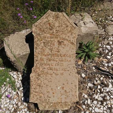 GRIESSEL W. -1913 &amp; M. -1916