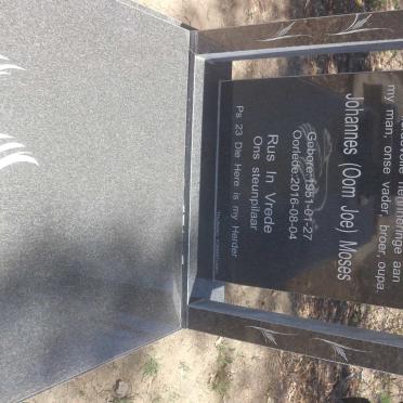 LEEUWSCHUT Johannes Moses 1951-2016