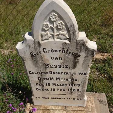 MEIRING Bessie 1905-1908