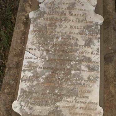 PRETORIUS Hester Sofia Cornelia nee V.D. WALT -1918