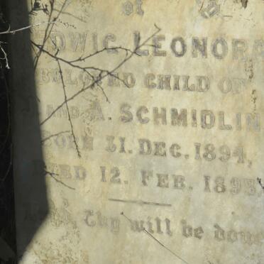 SCHMIDLIN Hedwig Leonora 1894-1895