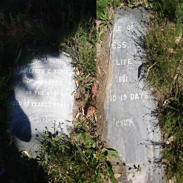 SCHULESS Alfred C. -1881