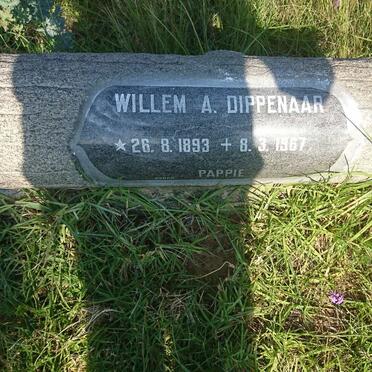 DIPPENAAR Willem A. 1893-1967