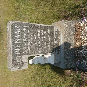 PIENAAR Magdalena Elizabeth 1940-1951