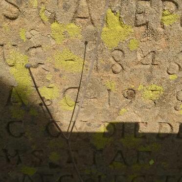 SWANEPOEL Cornelius Karel Jacobus 1846-1938