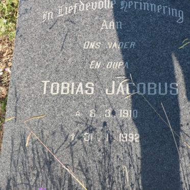 ? Tobias Jacobus 1910-1992 &amp; Anna Jacoba V.D. MERWE 1912-1985
