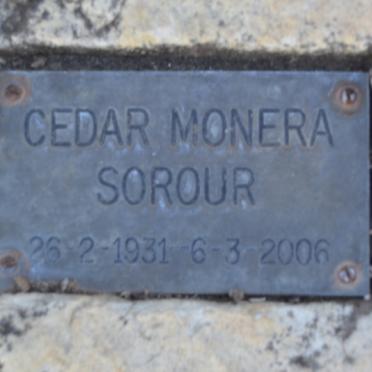 SOROUR Cedar Monera 1931-2006