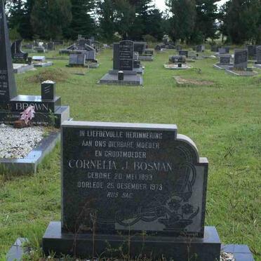 BOSMAN Cornelia J. 1893-1973