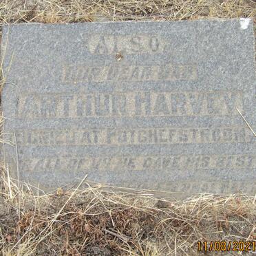 HARVEY Arthur