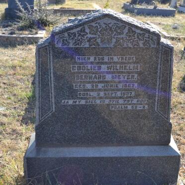 MEYER Godlieb Wilhelm Bernard 1852-1937