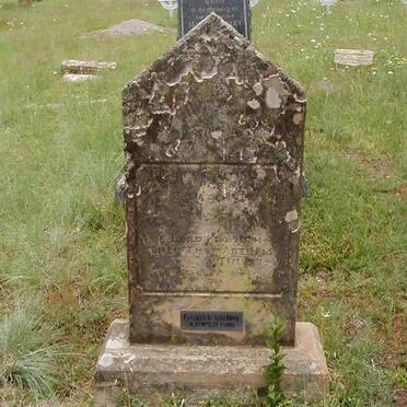 MITCHLEY Frederick 1823-1905