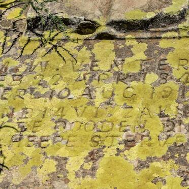 VENTER M.W. 1841-1915