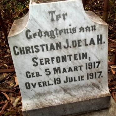 Free State, FOURIESBURG district, Rocklands 91, farm cemetery