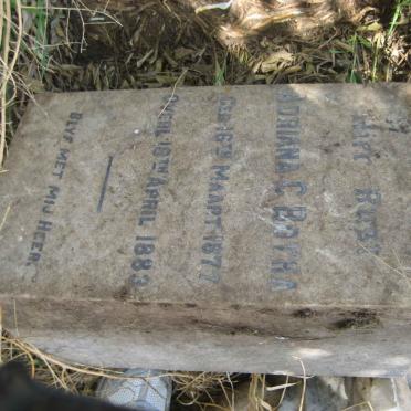 BOTHA Adriana C. 1877-1883