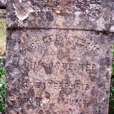 VENTER Dina J.S. 1913-1918