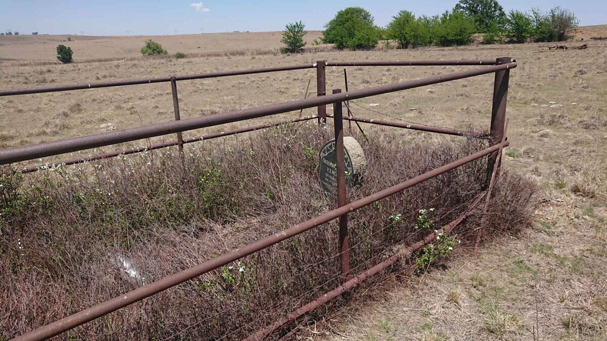 2. Overview / Oorsig