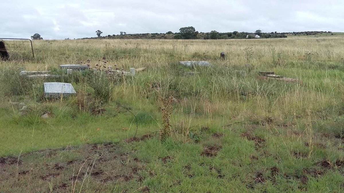 2. Overview / Oorsig