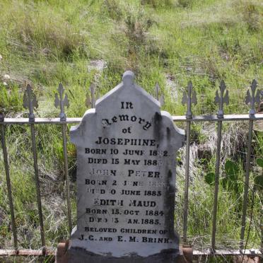 BRINK Josephine 1882-1883 :: BRINK John 1883-1883 :: BRINK Peter 1883-1883 :: BRINK Edith Maud 1884-1885