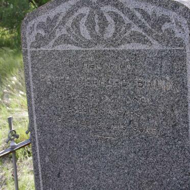 BRINK Peter Gerhard -1881