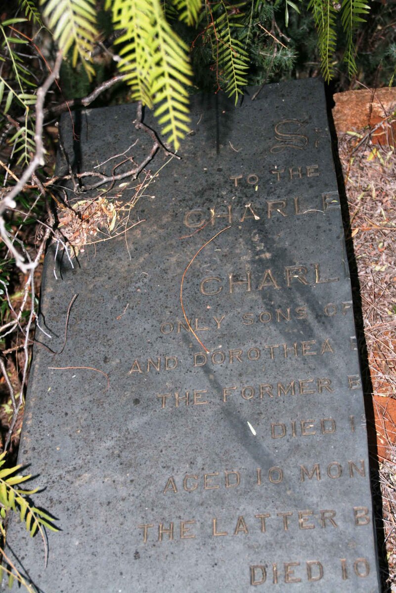 HUTTON Charles James 1857-1858 :: HUTTON Charles Ward 1862-1864 _1