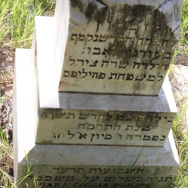 PHILIPS Sara Cecilia -1908