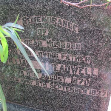 TREADWELL William 1870-1937